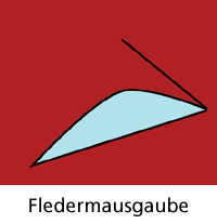 Fledermausgaube